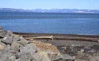 Sur le bord du fleuve - Bas Saint-Laurent