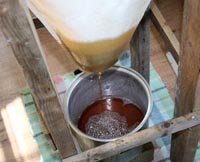 Sirop filtr&eacute; au bonnet